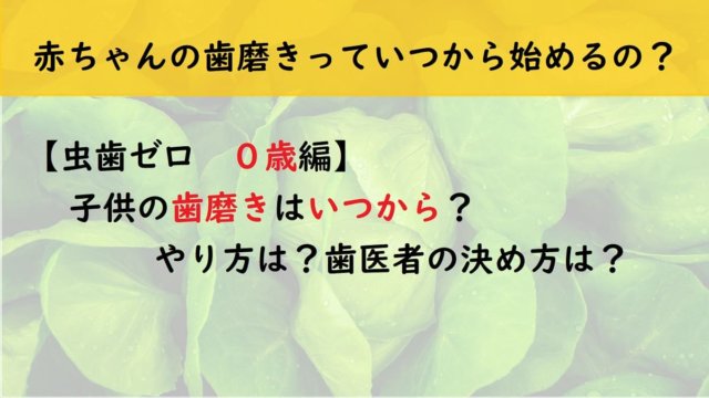 【虫歯ゼロ　０歳編】子供の歯磨きはいつから？やり方は？歯医者の決め方は？